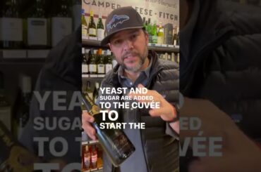 Learning French Champagne! In 37 seconds! #champagne #frenchwine #frenchchateau #sparklingwine