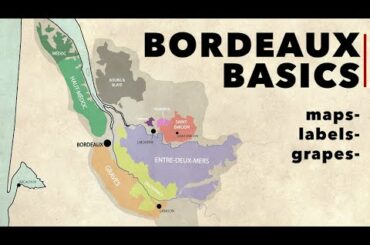 Wine 101 - BORDEAUX BASICS in 4 Minutes: Maps, Grapes, and Labels!