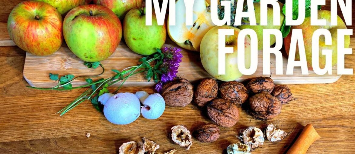 My Garden Forage My Garden Forage