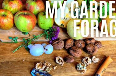My Garden Forage