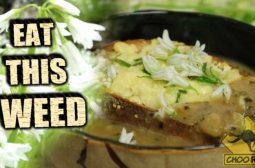 French Onion WEED Soup