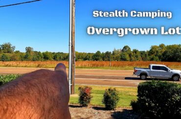 Stealth Camping Overgrown Corner Lot