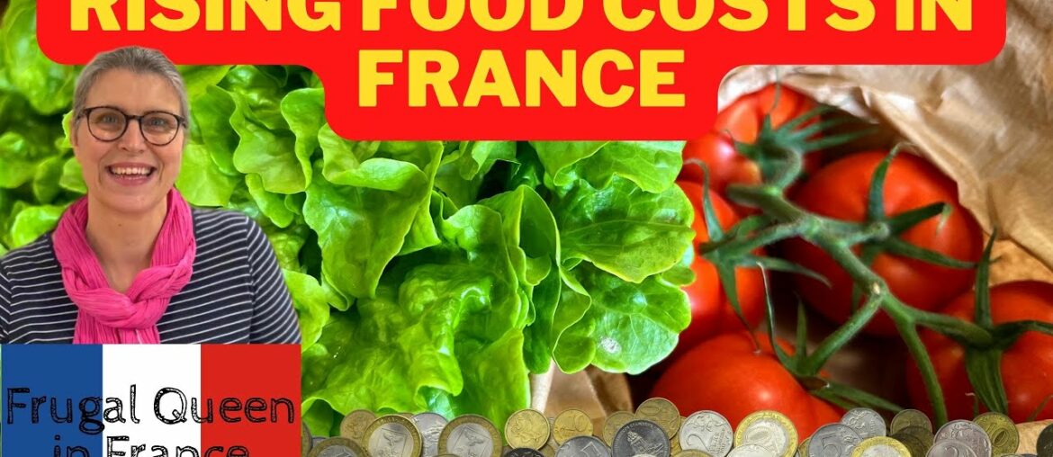 Rising Food Costs in France #frugal #shoppinghaul #france #price #haul #crisis #inflation
