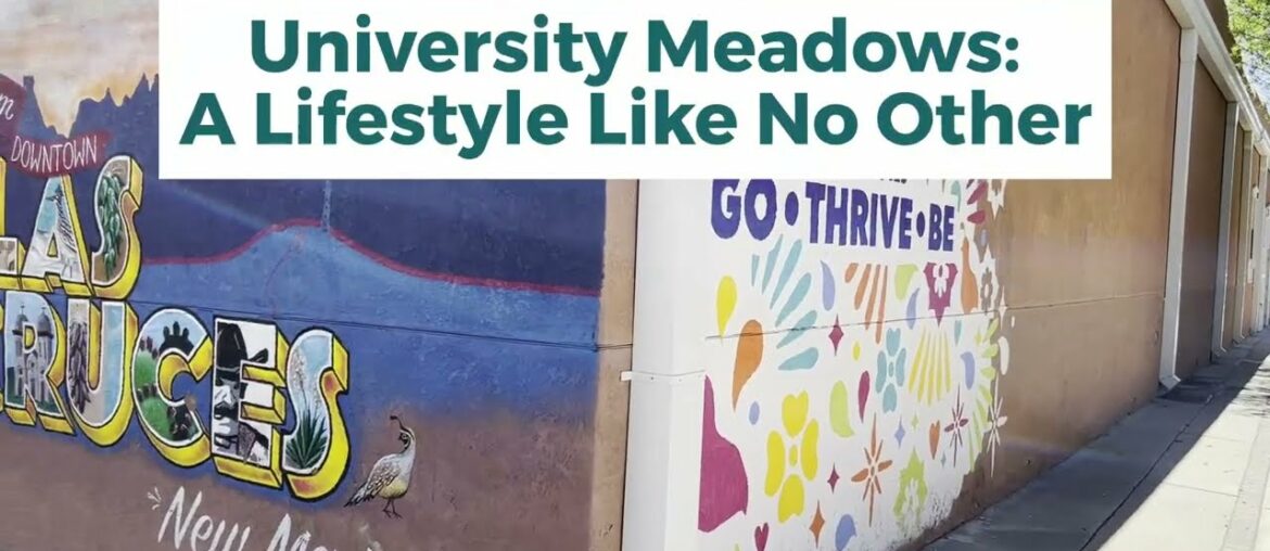 15 Top Things to do in Las Cruces - All Close to New Community University Meadows!