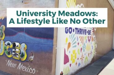 15 Top Things to do in Las Cruces - All Close to New Community University Meadows!