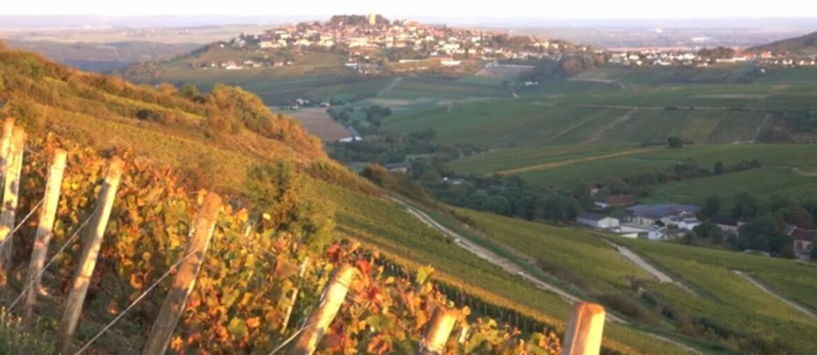 Private Wine Tasting at a Renowned Sancerre Winery Private Wine Tasting at a Renowned Sancerre Winery