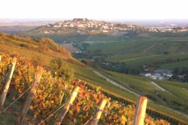 Private Wine Tasting at a Renowned Sancerre Winery