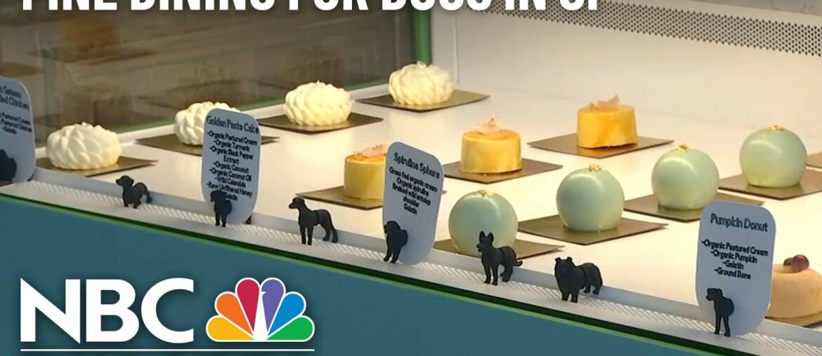 Fine Dining for Dogs? You Can Now Find That in San Francisco Fine Dining for Dogs? You Can Now Find That in San Francisco