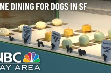 Fine Dining for Dogs? You Can Now Find That in San Francisco