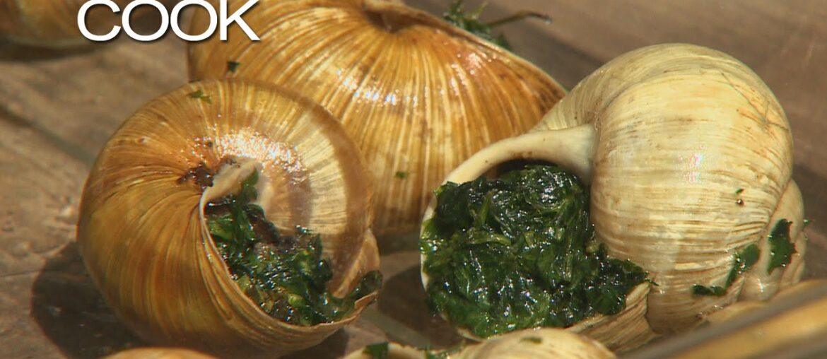 Snails | Gathering and Cooking the French Delicacy