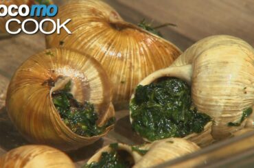 Snails | Gathering and Cooking the French Delicacy