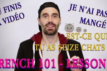 Beginner French - 04 (Numbers 11-30, verbs of the 2nd group, questions and negations)