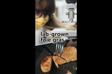 This French company is growing foie gras in a lab
