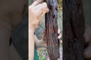 eating/what's eating gilbert grape/binge eating disorder/eating disorders