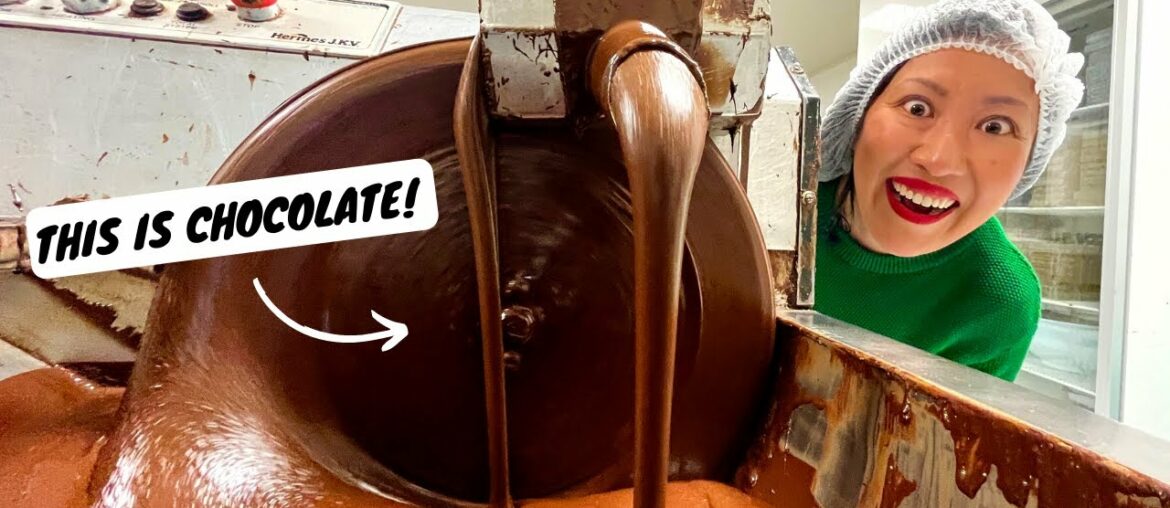 New Zealand’s most underrated food region | 9 NORTHLAND MUST EATS | New Zealand foodie road trip