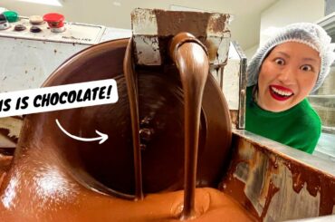 New Zealand’s most underrated food region | 9 NORTHLAND MUST EATS | New Zealand foodie road trip