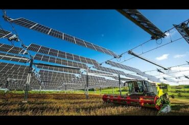 French farmers are covering crops with solar panels to produce food and energy at the same time