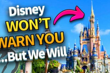 20 Things They Won’t Warn You About in Disney World