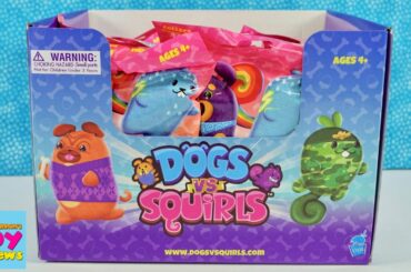 Dogs vs Squirls Blind Bag Plush Unboxing Review | PSToyReviews