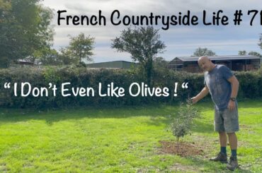 French Countryside Life # 71   " I Don't Even Like Olives ! "