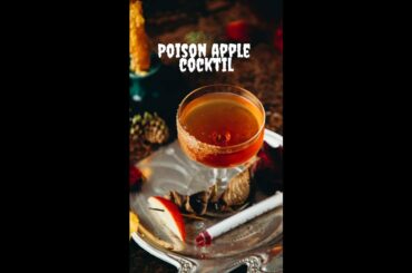 do YOU have a passion for VEGAN COMFORT FOOD!? Easy plant based recipes and vegan junk food