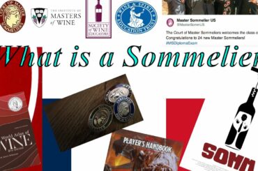 What is a Sommelier? Deep Diving into the Wine Business
