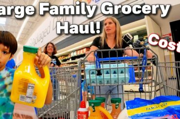 Grocery Shopping Haul for Large Family | Kids Do All The Shopping! | Cost?