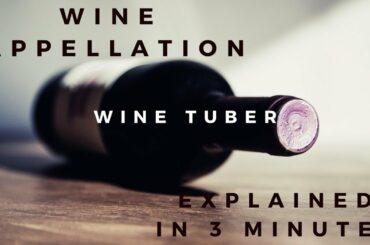 Wine appellation explained in 3 minutes.