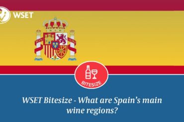 WSET Bitesize - What are Spain's main wine regions?