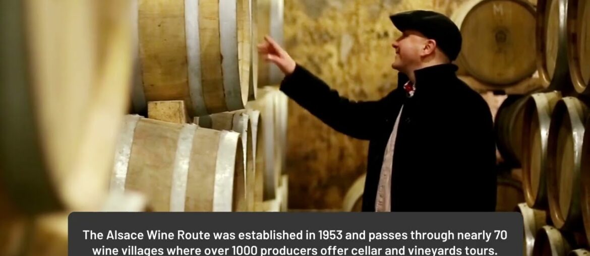 Explore France's wine regions by bike - French Bike Tours