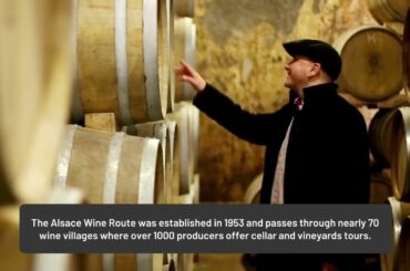 Explore France's wine regions by bike - French Bike Tours