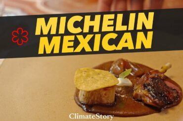 An EXCEPTIONAL Mexican Restaurant (1* Michelin 2022) - Chef Enrique Casarrubias at OXTE Paris