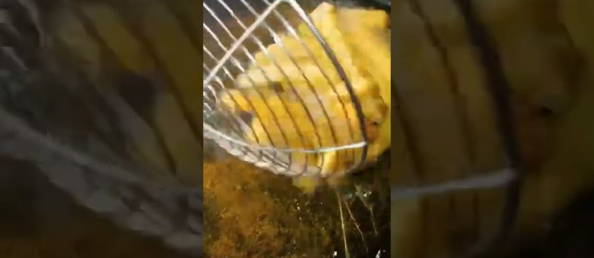 original French fries recipe #shortsfeed2022 #shorts