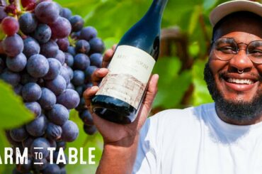 How Wine Is Made & How To Cook With It | Farm To Table | Delish