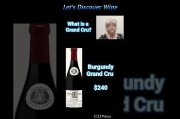 What is a Grand Cru Wine? (104d) #wine  #grandcru #grandcruwine #winecru #winetasting #shorts