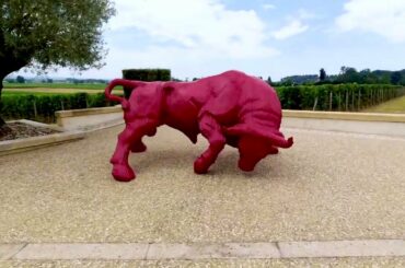 FRENCH WINE TASTING | Top 5 Best Wineries & Vineyards in France [Autumn 2022]