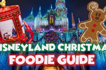 New Disneyland Christmas Foodie Guide 2022 | Best One Ever Possibly