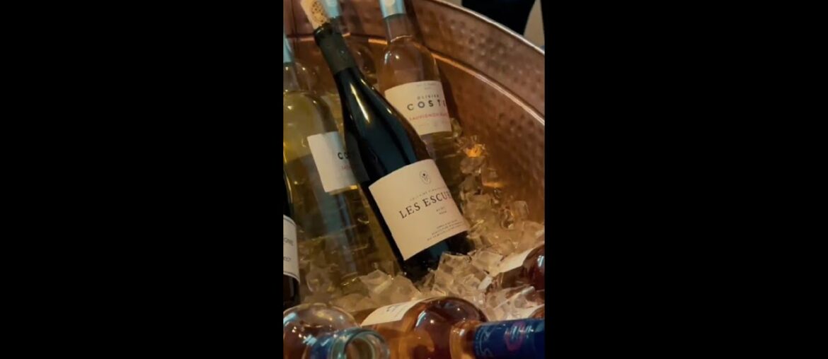 Join me on a wine and cheese cruise in Lake Michigan! #shorts Join me on a wine and cheese cruise in Lake Michigan! #shorts