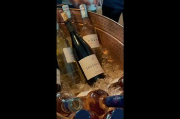 Join me on a wine and cheese cruise in Lake Michigan! #shorts