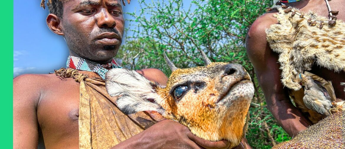 Hunting and Eating Rare African Animals with the Hadza Tribe!! Hunting and Eating Rare African Animals with the Hadza Tribe!!