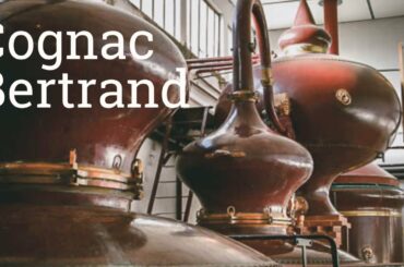 Cognac Bertrand - Who is Cognac Bertrand?