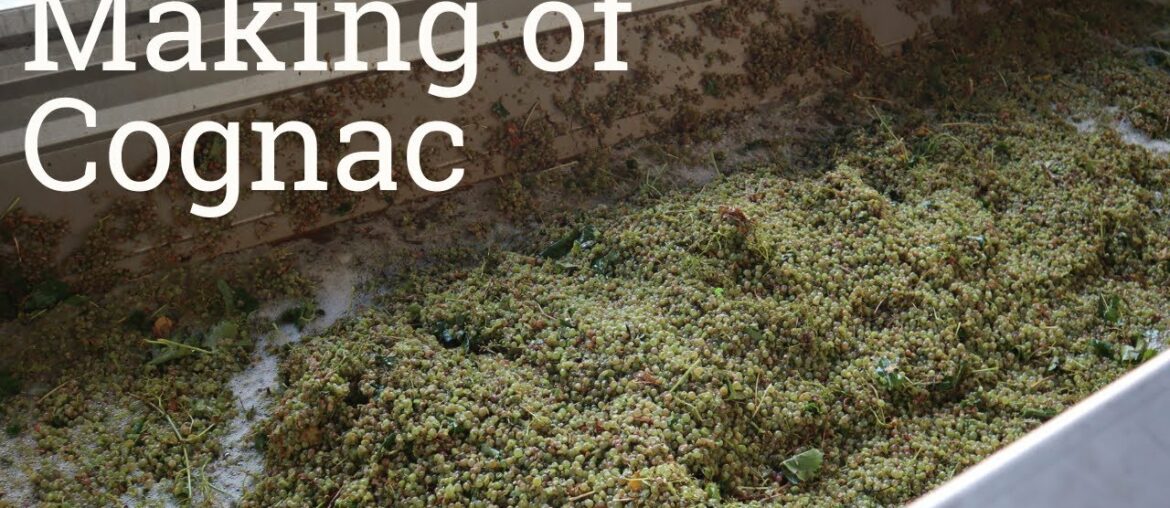 Making of Cognac - Cognac Bertrand