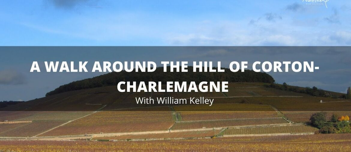 Weekend walk on the hill of Corton, Charlemagne with William Kelley Weekend walk on the hill of Corton, Charlemagne with William Kelley