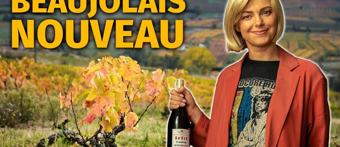 The Guide to BEAUJOLAIS NOUVEAU Wine The Guide to BEAUJOLAIS NOUVEAU Wine