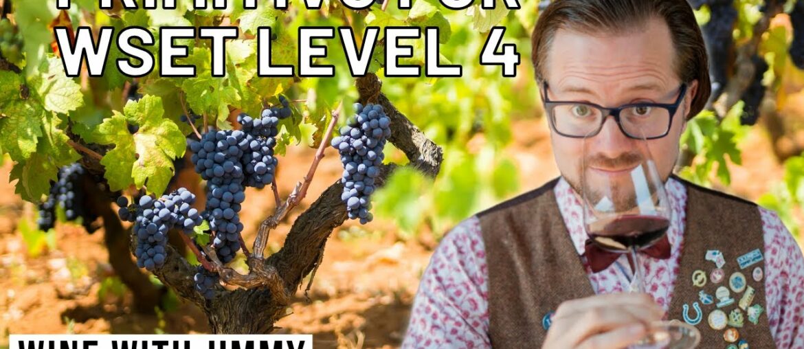 Puglia Part 3: Primitivo Wines for WSET Level 4 Diploma