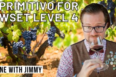 Puglia Part 3: Primitivo Wines for WSET Level 4 Diploma