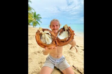 French Baguette Fruit