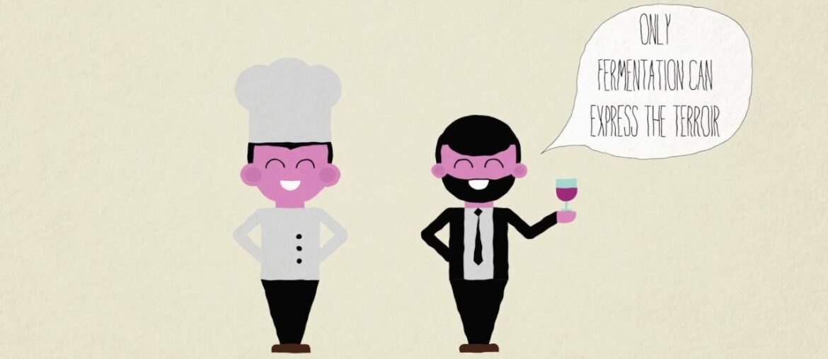 History of a French culinary renaissance