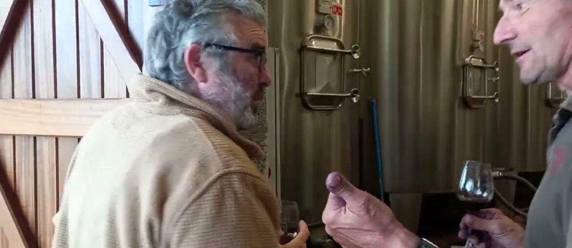 Vanlife Travel in France - YES WE REMEMBERED! To Stop for a Vineyard - Tour Late October 2022