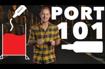 Port 101 | The Basics of Port Wine, The 3 Types, Vintage Port, & More!